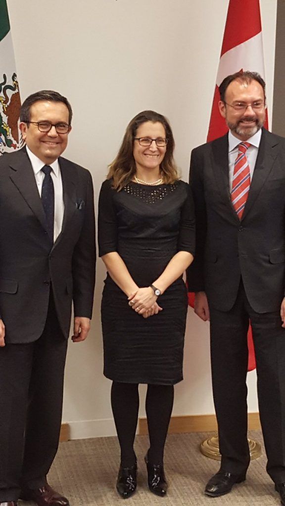 Videgaray no duda del respaldo de Canadá a México - videgaray-y-Guajarado-en-canadá-576x1024