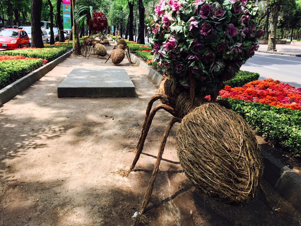 Llegan hormigas gigantes a Paseo de la Reforma - 17156058_10212430539502409_4262452951689346163_n