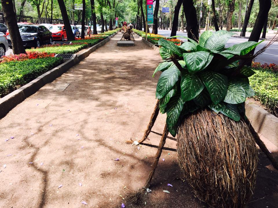 Llegan hormigas gigantes a Paseo de la Reforma - 17342637_10212430540462433_8446069833672160042_n