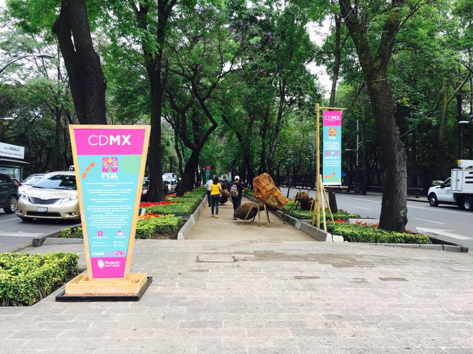 Llegan hormigas gigantes a Paseo de la Reforma - 17352556_10212430539222402_348721181637030469_n