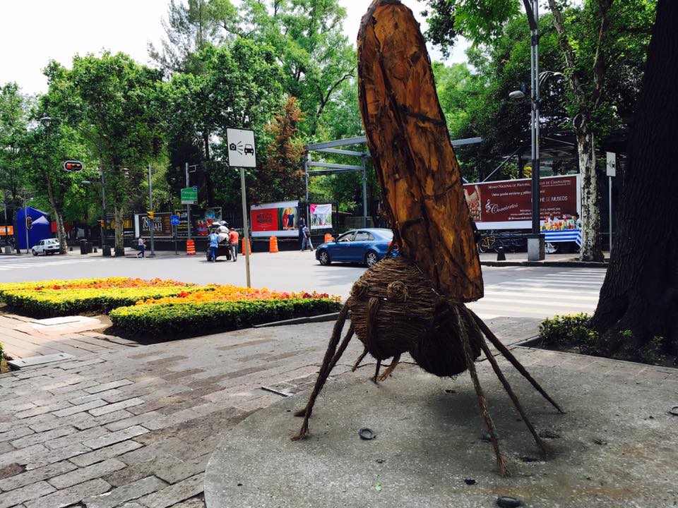 Llegan hormigas gigantes a Paseo de la Reforma - 17352560_10212430542742490_4038887503809259405_n