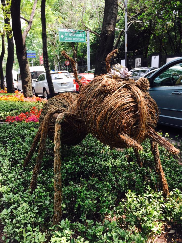 Llegan hormigas gigantes a Paseo de la Reforma - 17361739_10212430539862418_7506974048115372688_n
