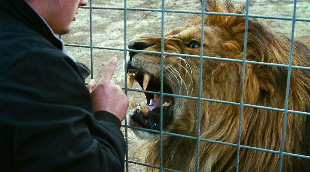 Anuncian la edición 62 de la muestra de la Cineteca - 2-2