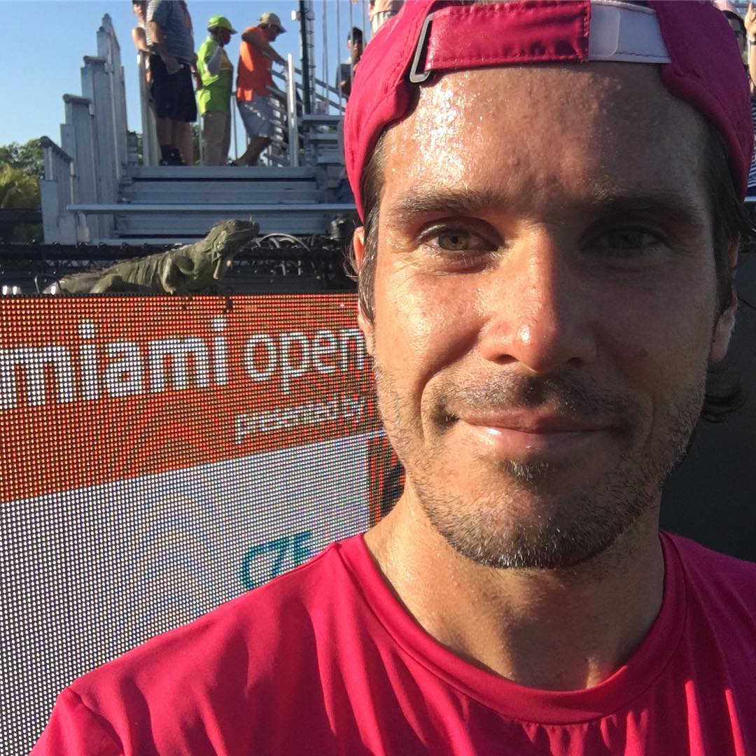 #Viral iguana interrumpe partido de tenis en el Miami Open - C7jsnqdW0AA8S-_