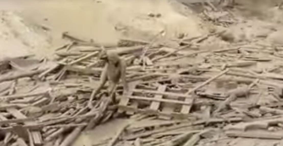 #Video Mujer es arrastrada por un río de lodo