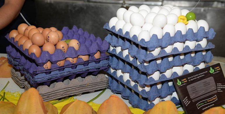 Profeco sanciona a 143 pollerías y expendios de huevo - HUEVO-Y-POLLO-Foto-5-770x392