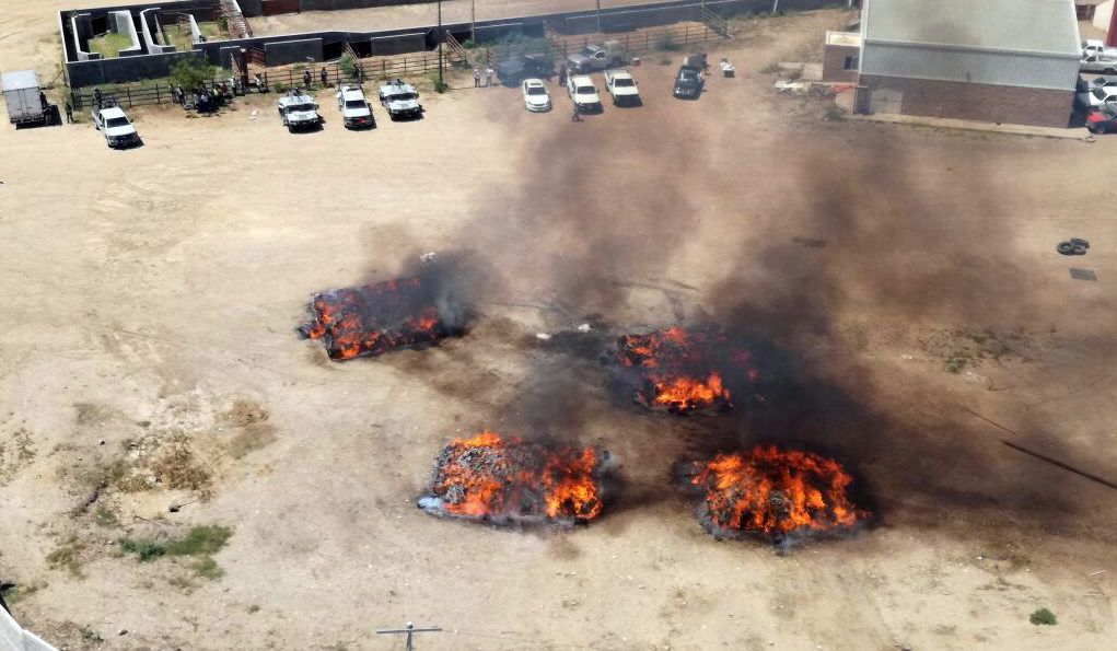 #Fotos Destruyen más de 16 toneladas de mariguana en Sinaloa