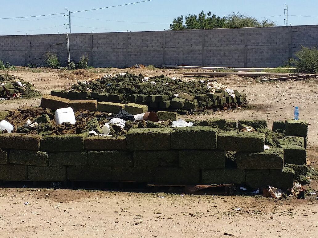 #Fotos Destruyen más de 16 toneladas de mariguana en Sinaloa - IMG-20170329-WA0010