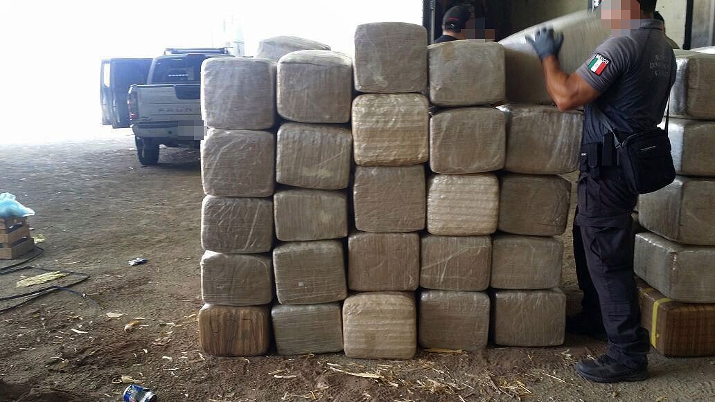 #Fotos Destruyen más de 16 toneladas de mariguana en Sinaloa - IMG-20170329-WA0011