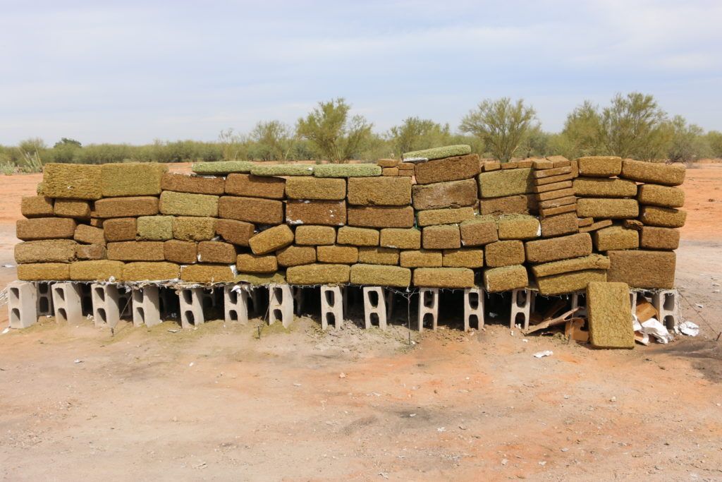 PGR incinera más de tres toneladas de drogas en Sonora - IMG_9198-1024x683