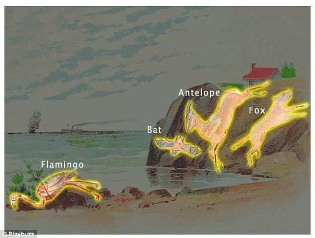 Encuentra a los animales ocultos en la costa - animales