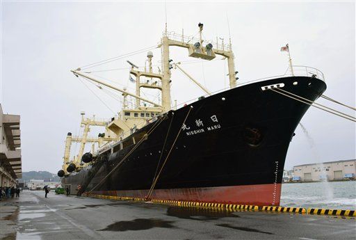 Flota de Japón cazó 333 ballenas en la antártida