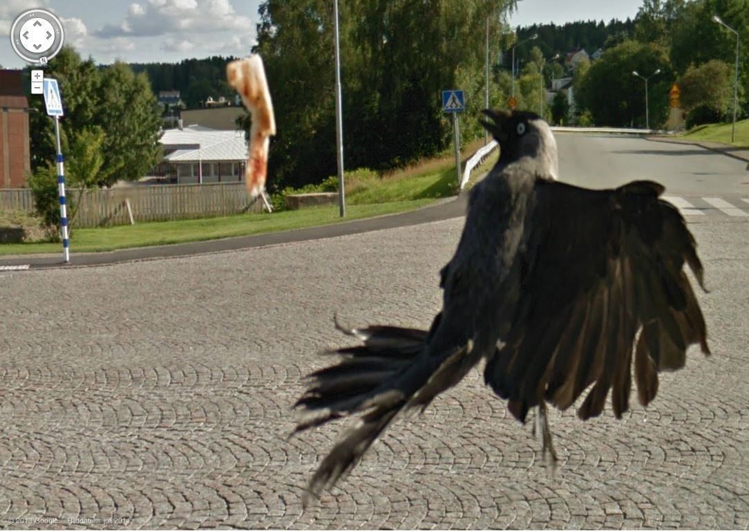 Las imágenes más curiosas captadas por Google Street View - cuervooo
