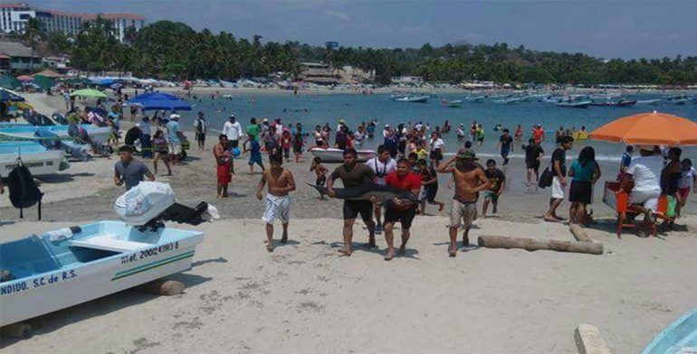 Rescatan a delfín varado en Puerto Escondido - delfin2-770x392
