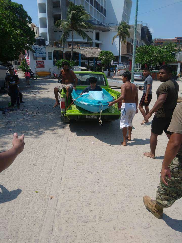 Rescatan a delfín varado en Puerto Escondido - delfin3