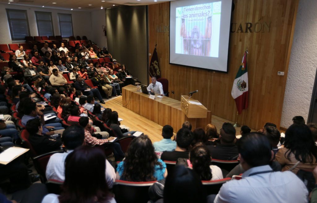 ¿Los animales tienen derechos? - derechos-de-animales-1-1024x657