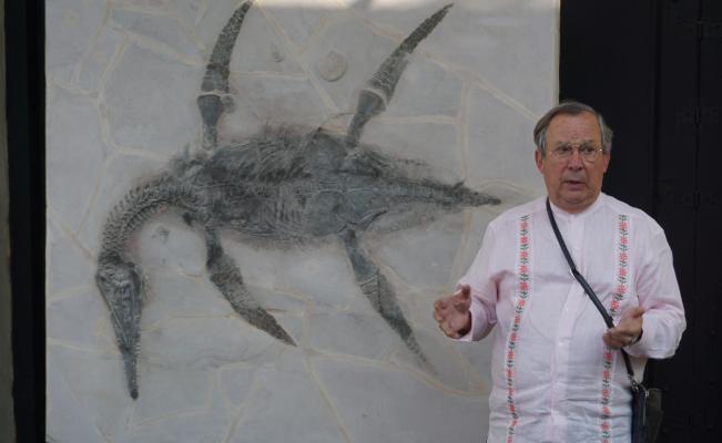 Alcalde del PAN presta su nombre para bautizar a especie de dinosaurio - dinosaurio-2