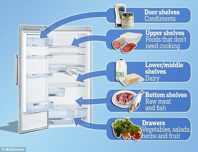 La forma correcta de acomodar los alimentos en el refrigerador - distribucion-refrigerador