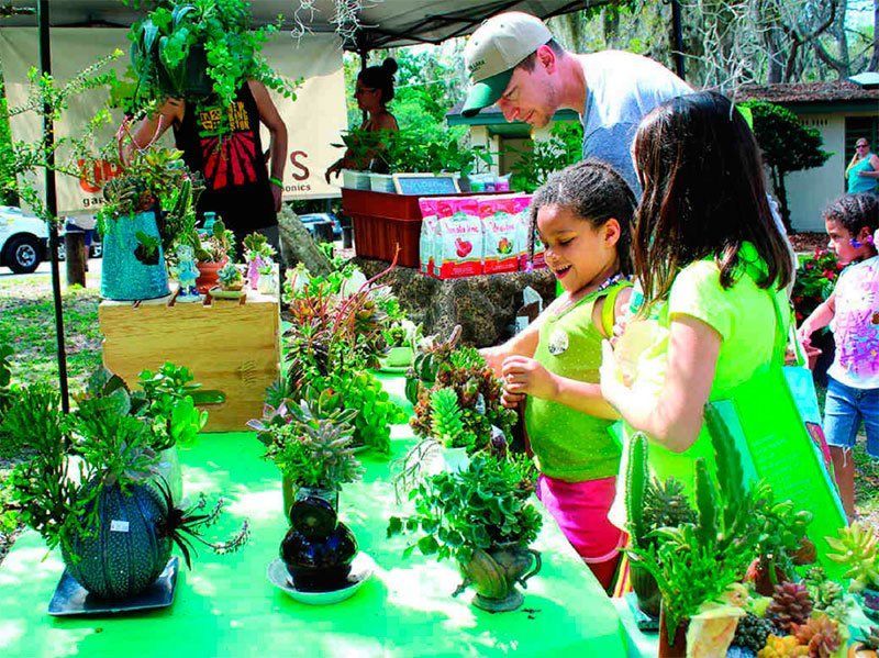 Reúnen en la Roma a 250 productores ecológicos - ecofest-II