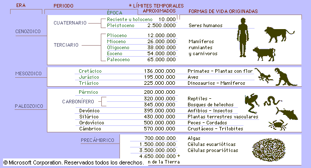 Desentierran al fósil más antiguo de la Tierra - eras-de-la-tierra