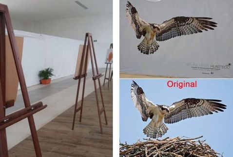 Denuncian plagio en exposición fotográfica en Tamaulipas - exposición