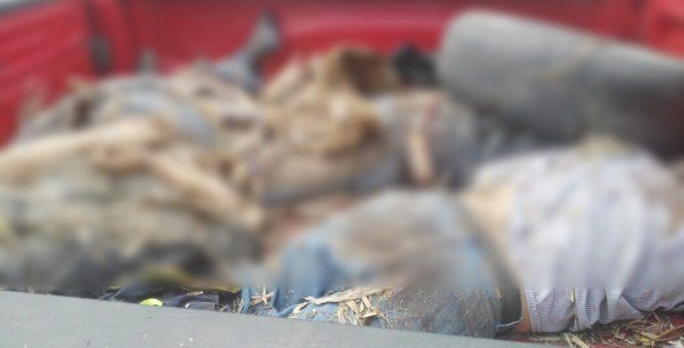 Hallan en Veracruz cuerpos de elementos de la Fiscalía de Puebla - fiscalía