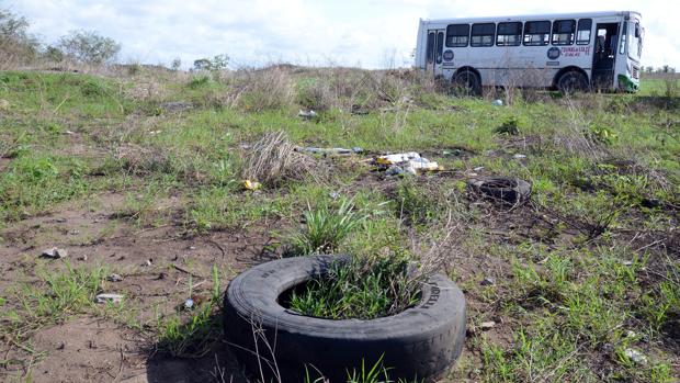 Encuentran restos de 250 personas en fosa clandestina en Veracruz - fosa-veracruz