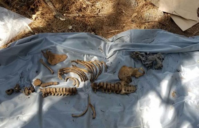 Encuentran fosa con tres osamentas en Chihuahua - huesoooos