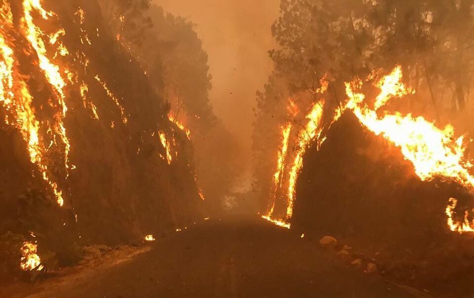 Bomberos de la Ciudad de México ayudan a sofocar incendio en Cuernavaca - incedio-morelos-1