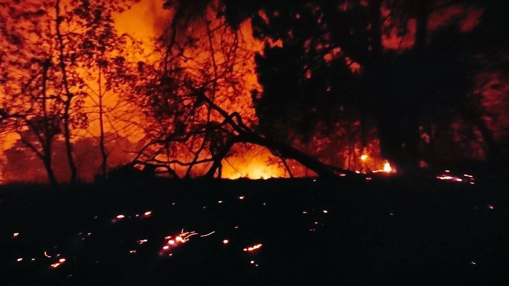 Bomberos de la Ciudad de México ayudan a sofocar incendio en Cuernavaca - incedio-morelos-12