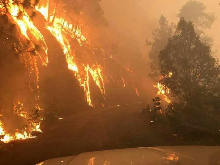 Bomberos de la Ciudad de México ayudan a sofocar incendio en Cuernavaca - incedio-morelos-3