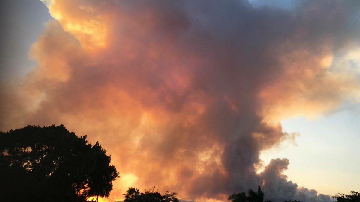 Bomberos de la Ciudad de México ayudan a sofocar incendio en Cuernavaca - incedio-morelos-4