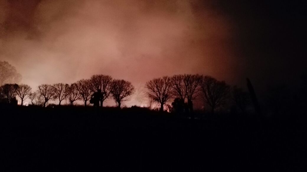 Bomberos de la Ciudad de México ayudan a sofocar incendio en Cuernavaca - incedio-morelos-6