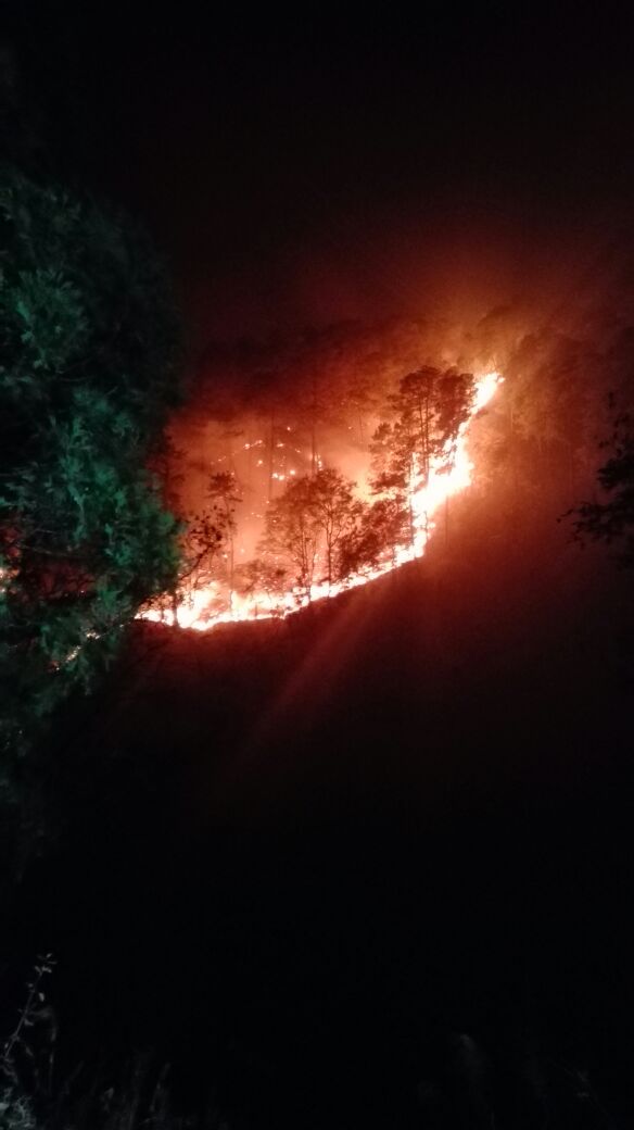 Bomberos de la Ciudad de México ayudan a sofocar incendio en Cuernavaca - incedio-morelos-7
