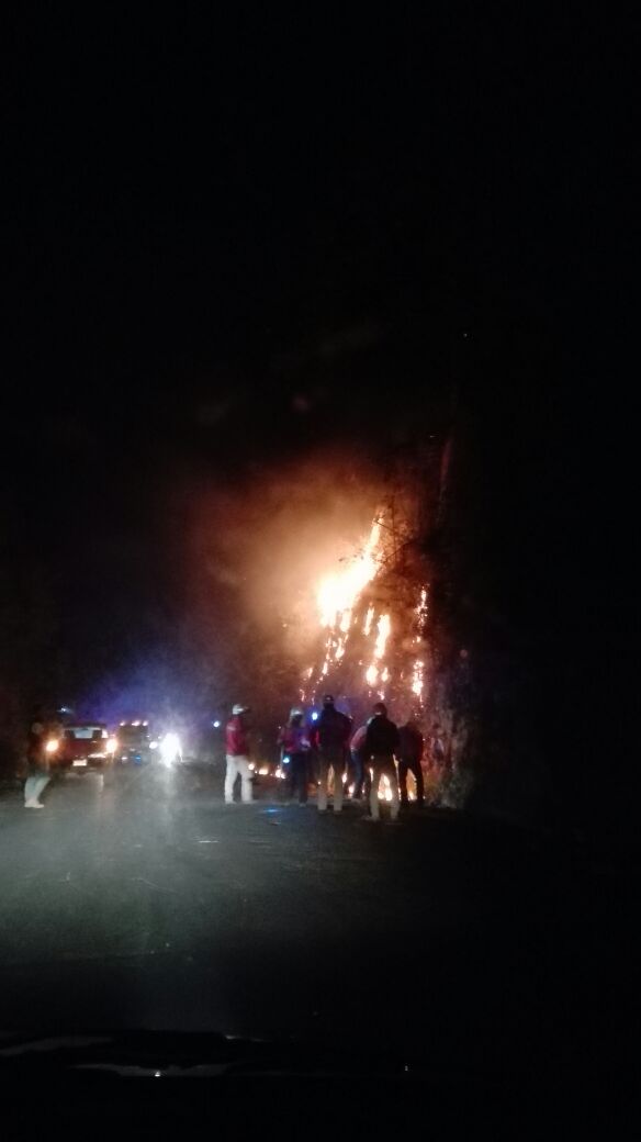 Bomberos de la Ciudad de México ayudan a sofocar incendio en Cuernavaca - incedio-morelos-8