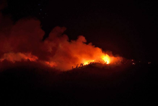 Controlan incendio forestal en el Ajusco