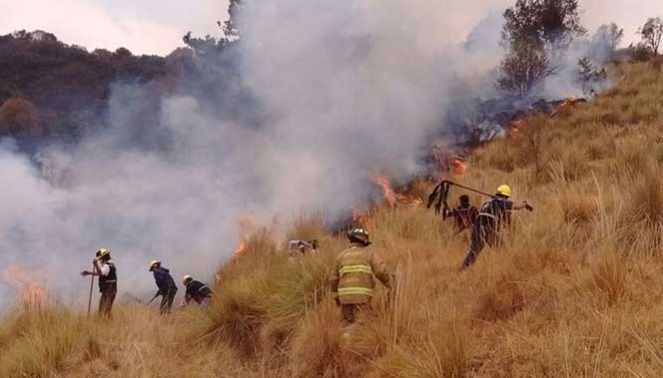 Sofocan incendio forestal en Tlalpan