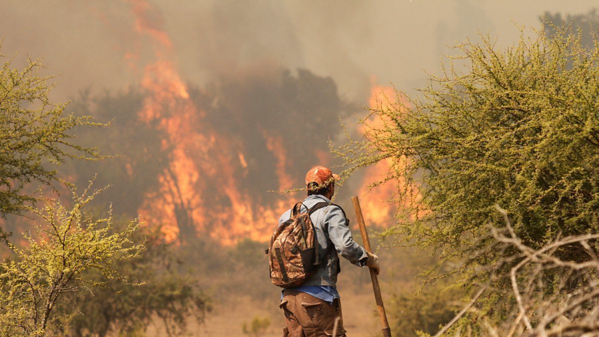 Alertan por riesgo de incendios forestales