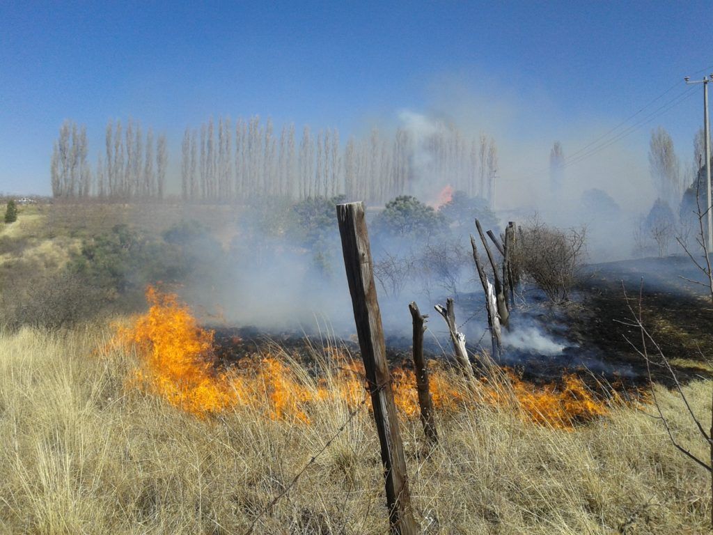 Alerta por ola de incendios en Chihuahua - incendios-Chihuahua-1-1024x768