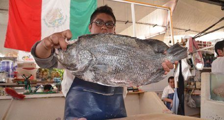 Suben precios de pescados y mariscos por Cuaresma
