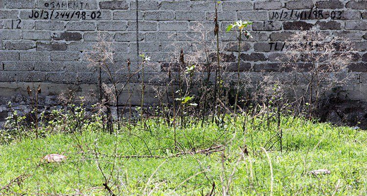 Inician trabajos de exhumación de fosa común de Jojutla