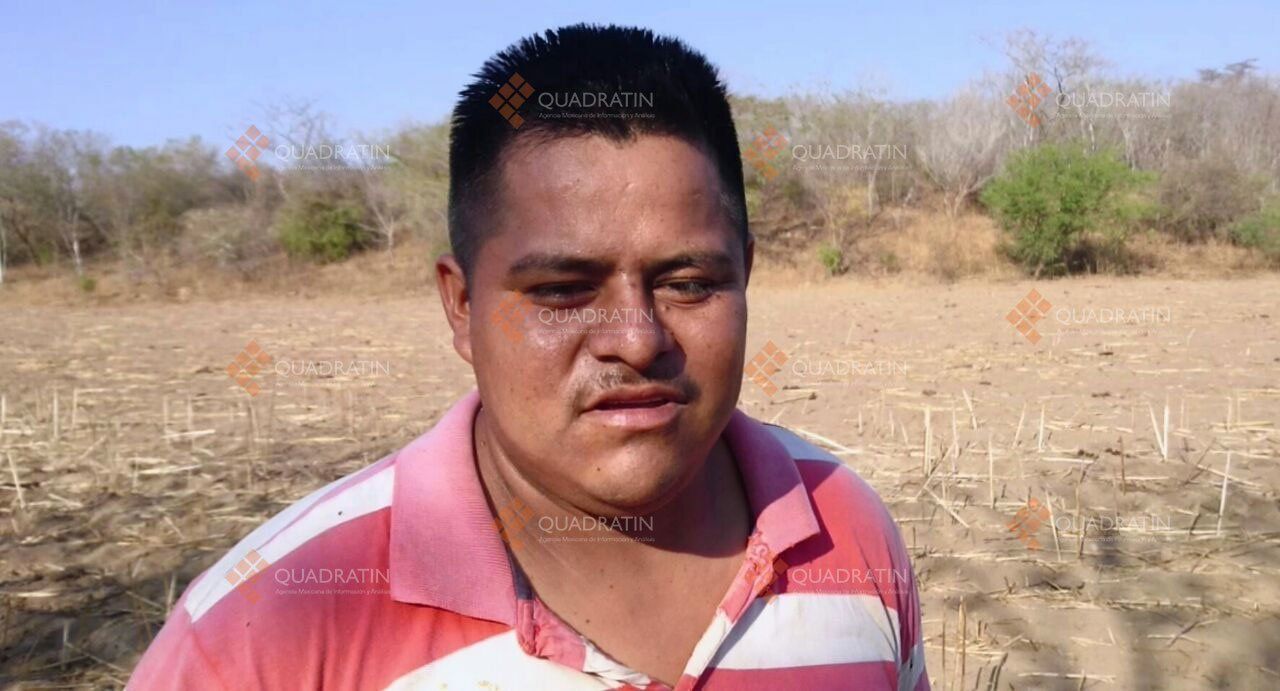 Estados Unidos contrata a 56 jornaleros oaxaqueños - jornaleros-2