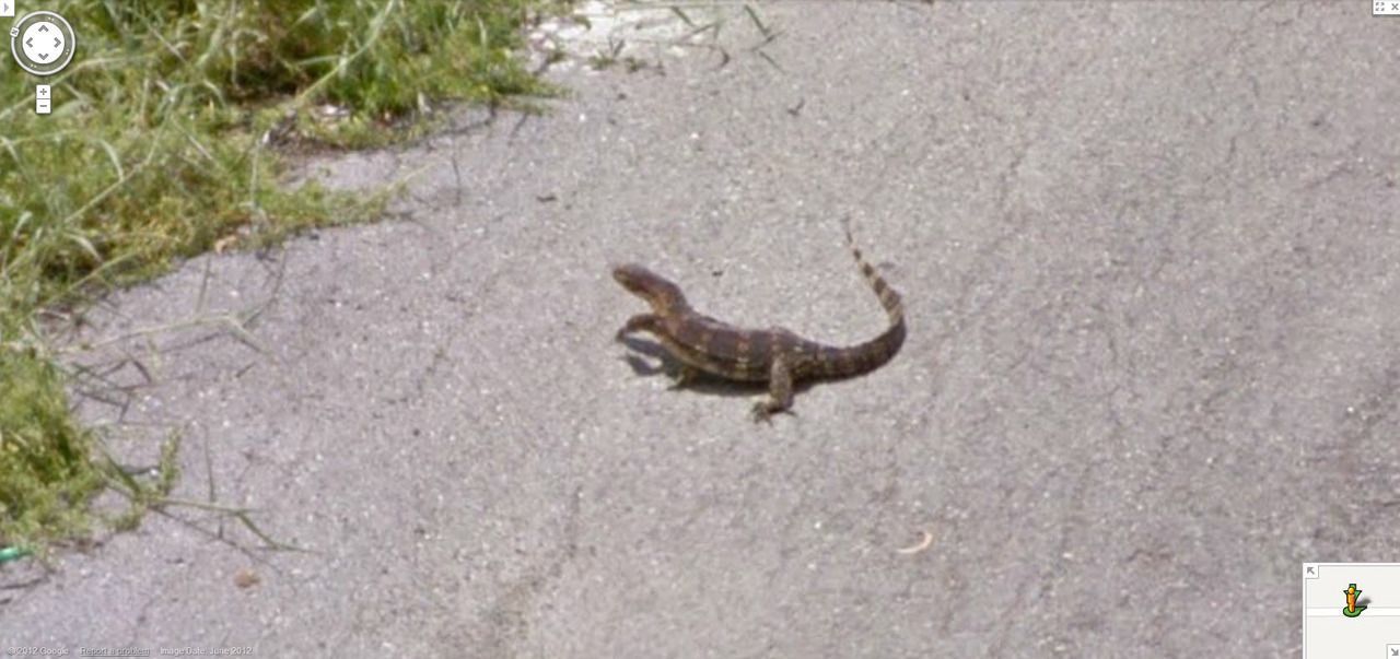 Las imágenes más curiosas captadas por Google Street View - lagafrer