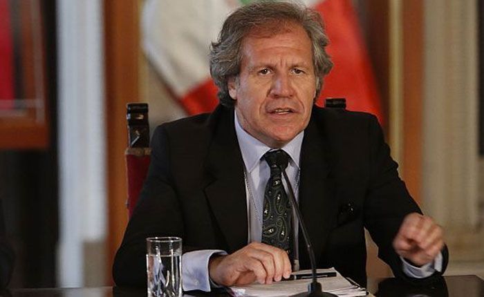 "Ofrezco mi cargo a cambio de la libertad en Venezuela": Luis Almagro - luis-almagro-1