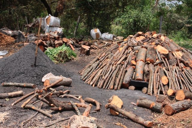 La falsificación dejó más ganancias que el narcotráfico en 2016 - madera