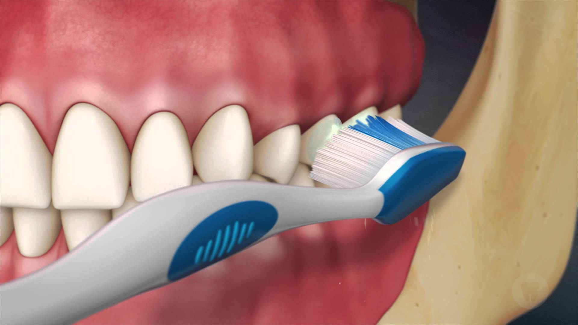 ¿Qué pasaría si dejas de cepillarte los dientes por un año?