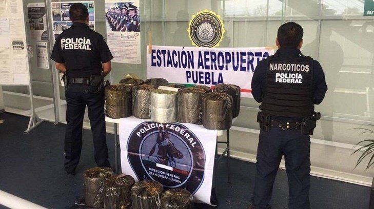 Encuentran mariguana escondida en mole poblano - narco-mole