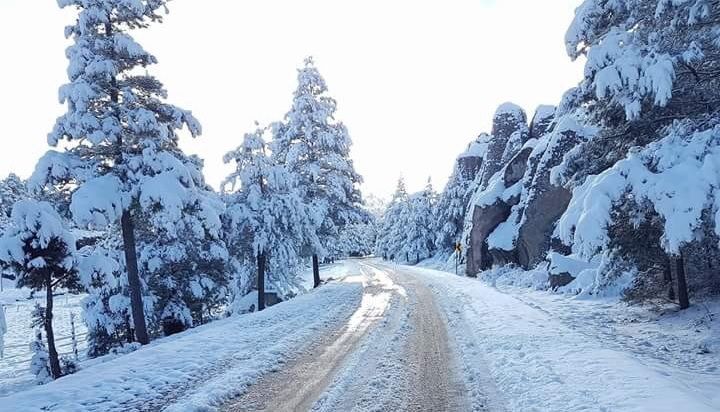 Atienden emergencia en 19 municipios de Chihuahua por nevadas