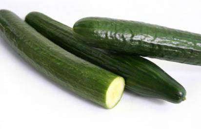 Agricultores oaxaqueños exportarán pepino inglés a EE.UU. - pepino