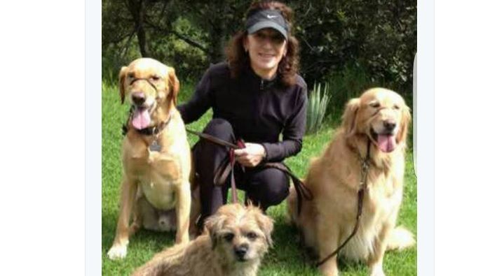 Así operan ladrones de perros en Coyoacán - perros-banda